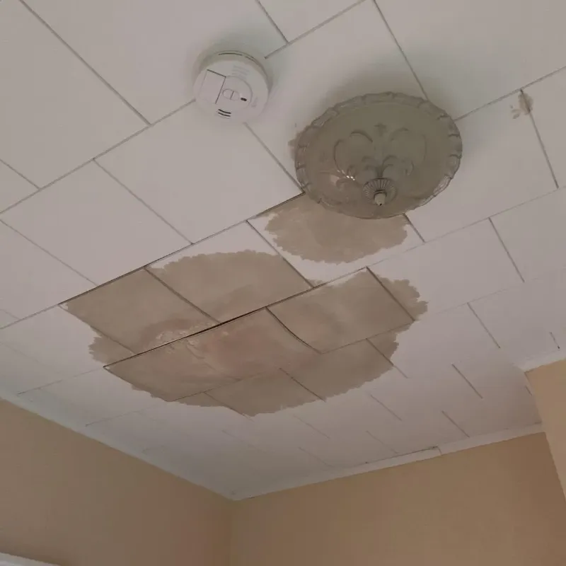 Ceiling Water Damage Repair in Grand Prairie, TX